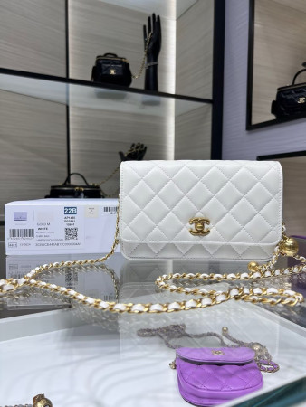 CHANEL CLASSIC WALLET ON CHAIN 4.8 × 7.5 × 1.4 in
