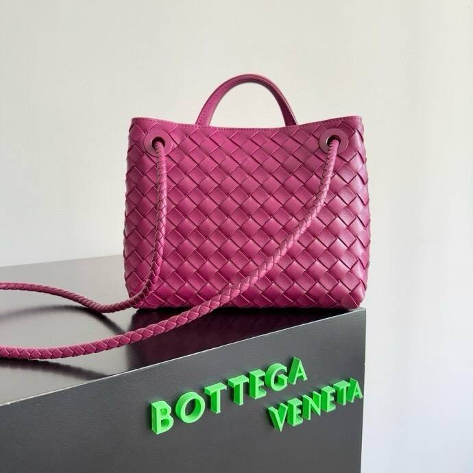Bottega Veneta Small Andiamo 25x22x10.5cm