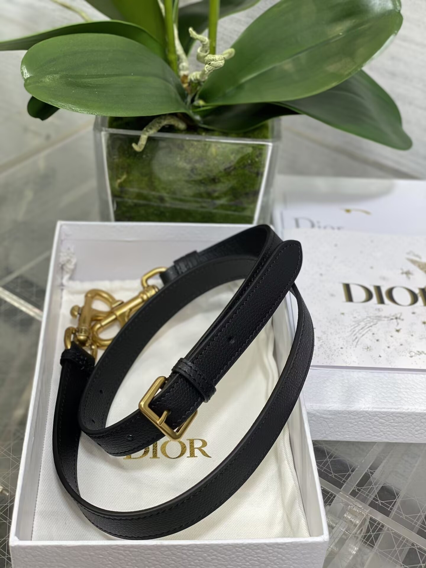 Dior MINI SADDLE BAG WITH STRAP Black Grained Calfskin 19 x 16 x 5 cm