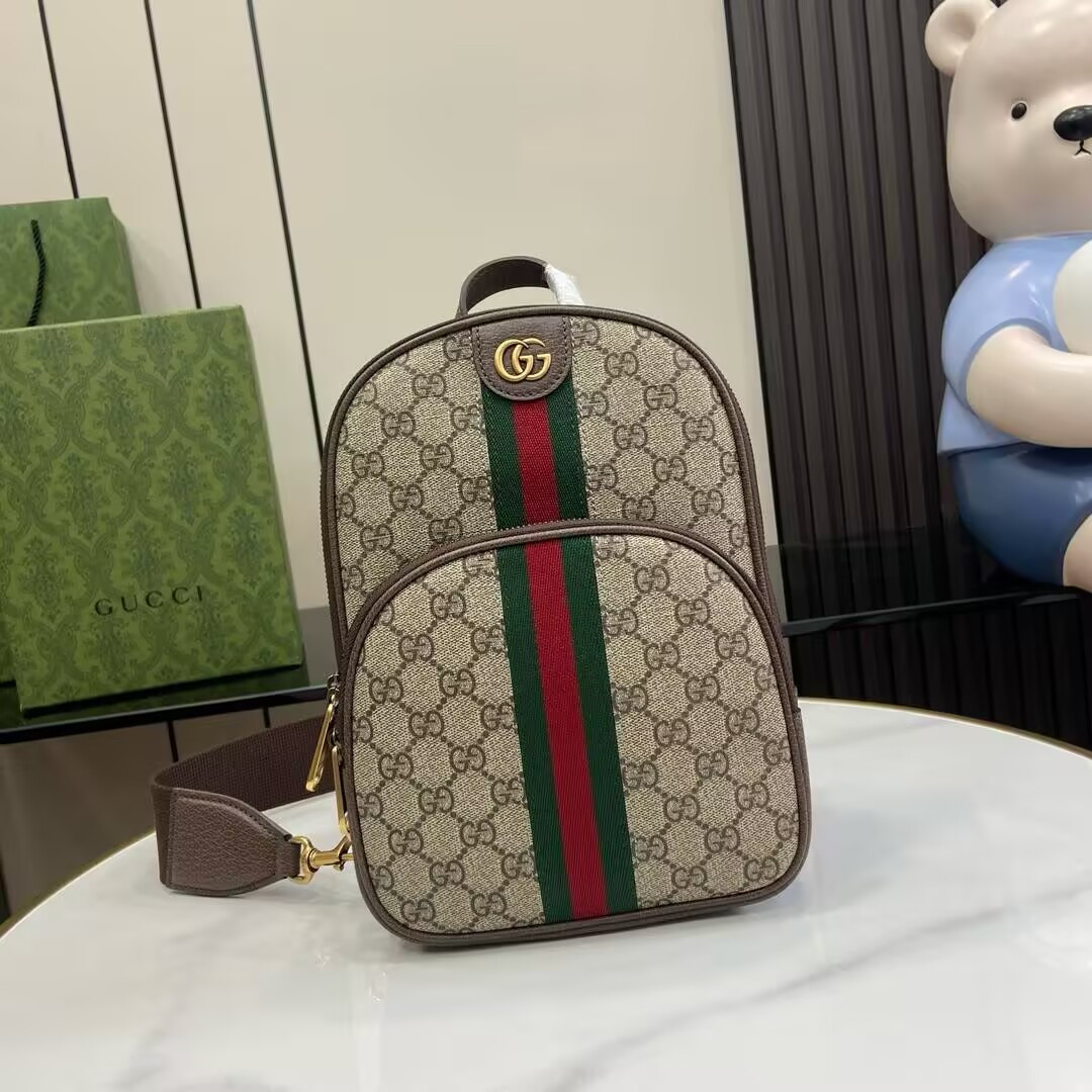 GUCCI OPHIDIA 19x26x4.5cm