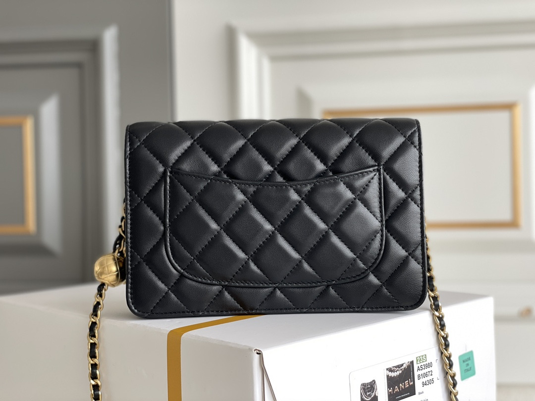 CHANEL CLASSIC WALLET ON CHAIN 4.8 × 7.5 × 1.4 in