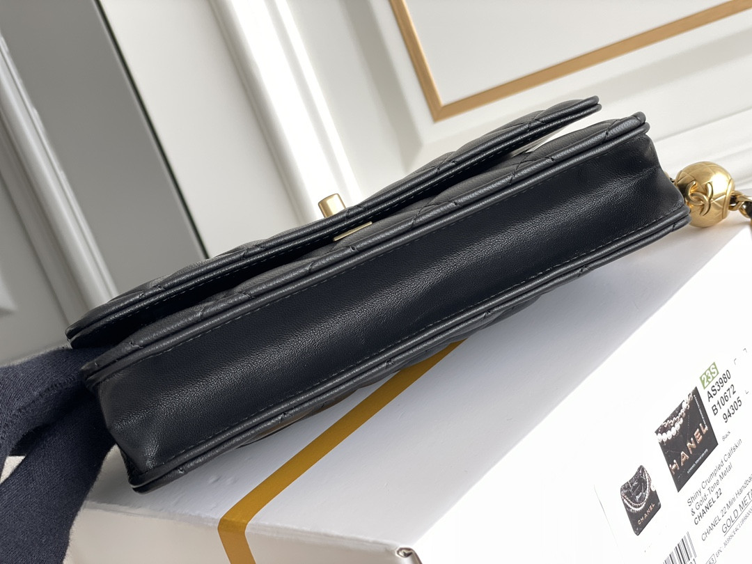 CHANEL CLASSIC WALLET ON CHAIN 4.8 × 7.5 × 1.4 in