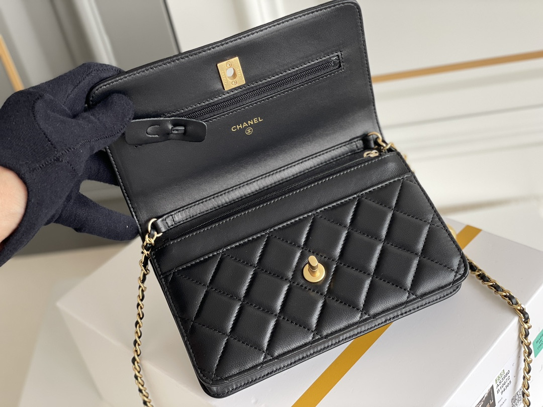 CHANEL CLASSIC WALLET ON CHAIN 4.8 × 7.5 × 1.4 in