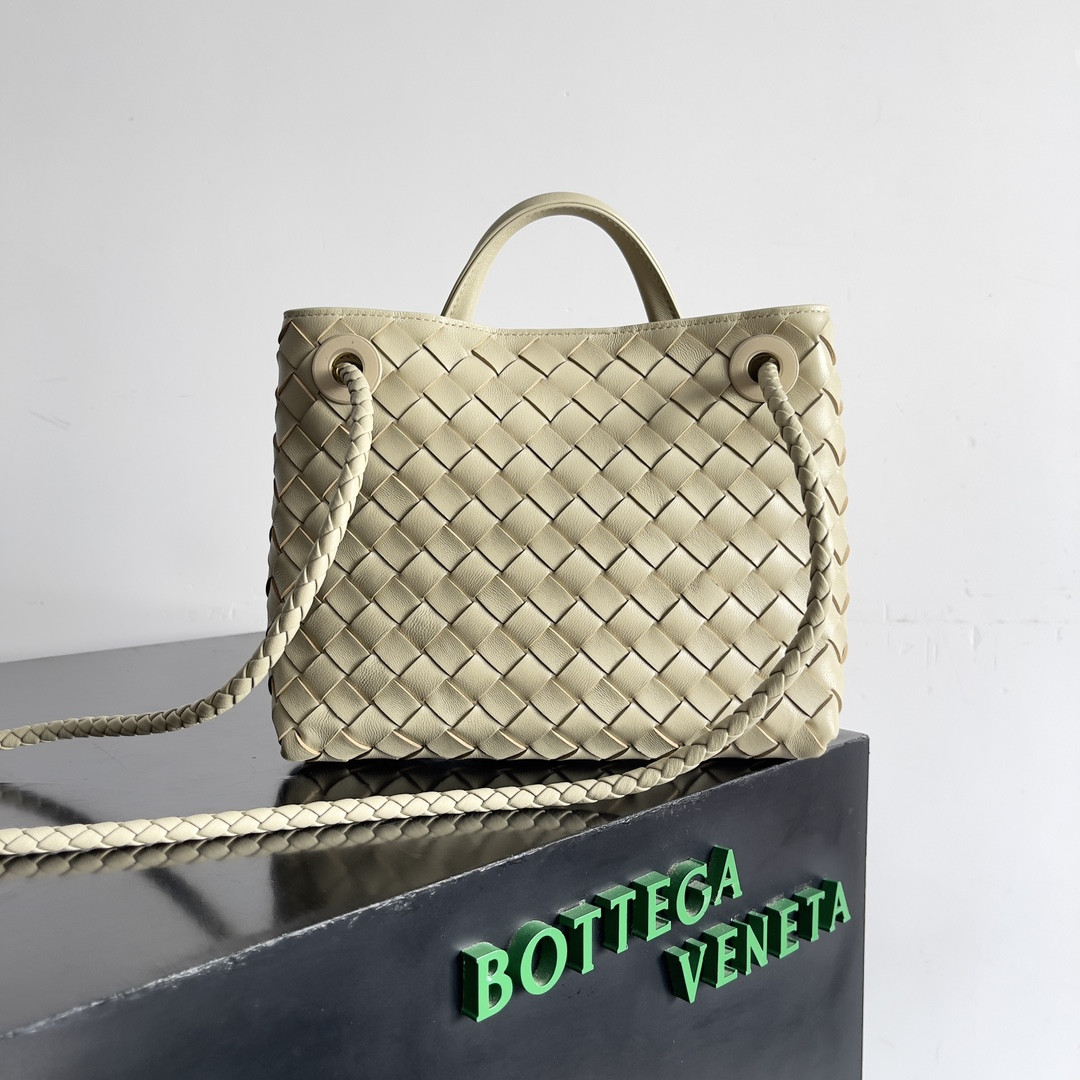 Bottega Veneta Small Andiamo 25x22x10.5cm