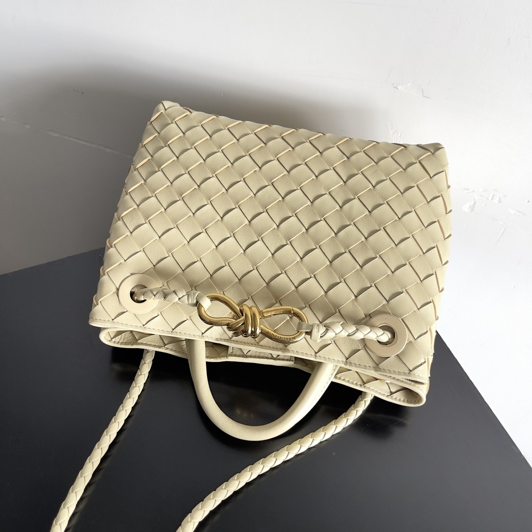 Bottega Veneta Small Andiamo 25x22x10.5cm