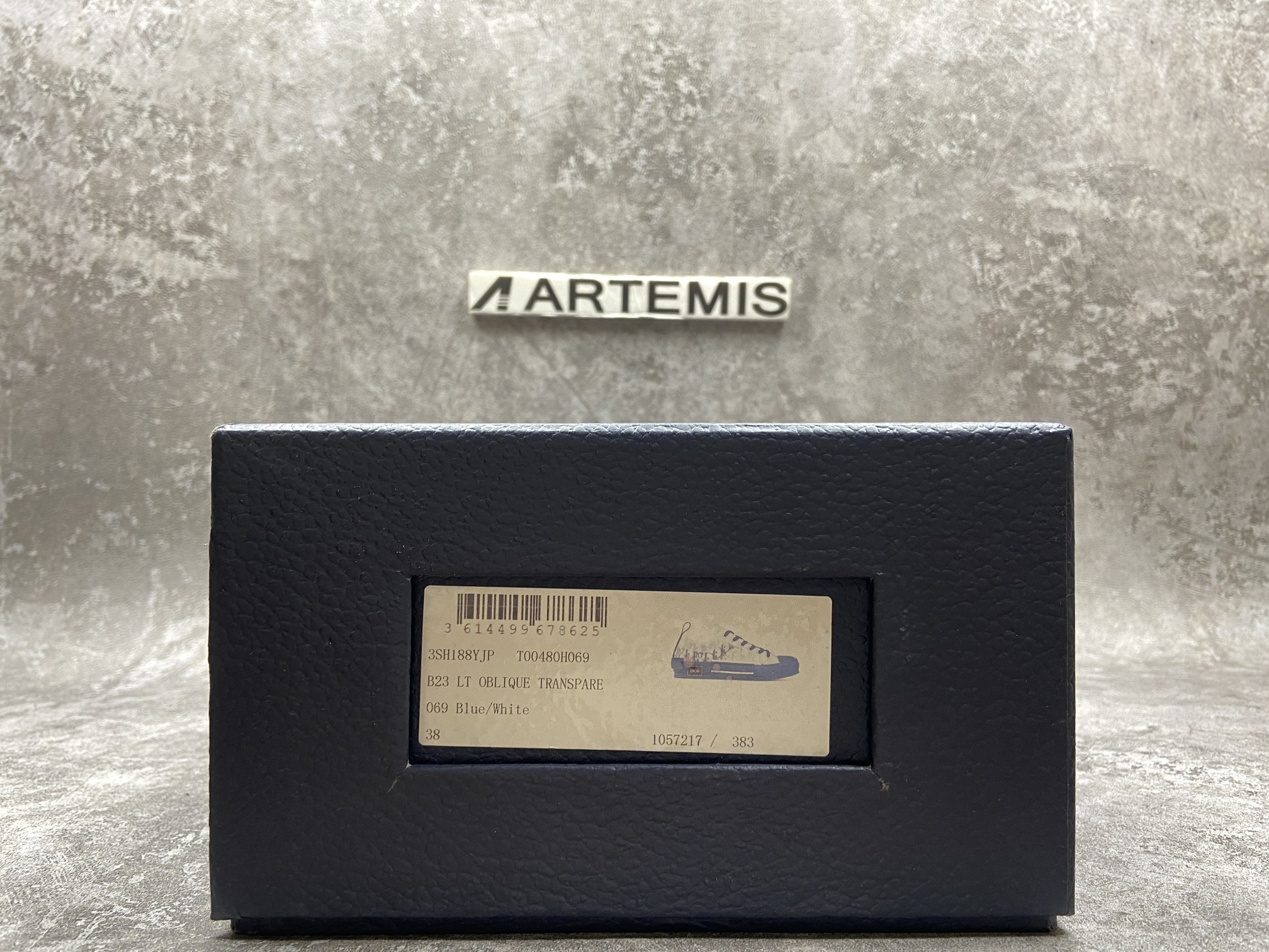 Dior B23 Low Top Blue Oblique