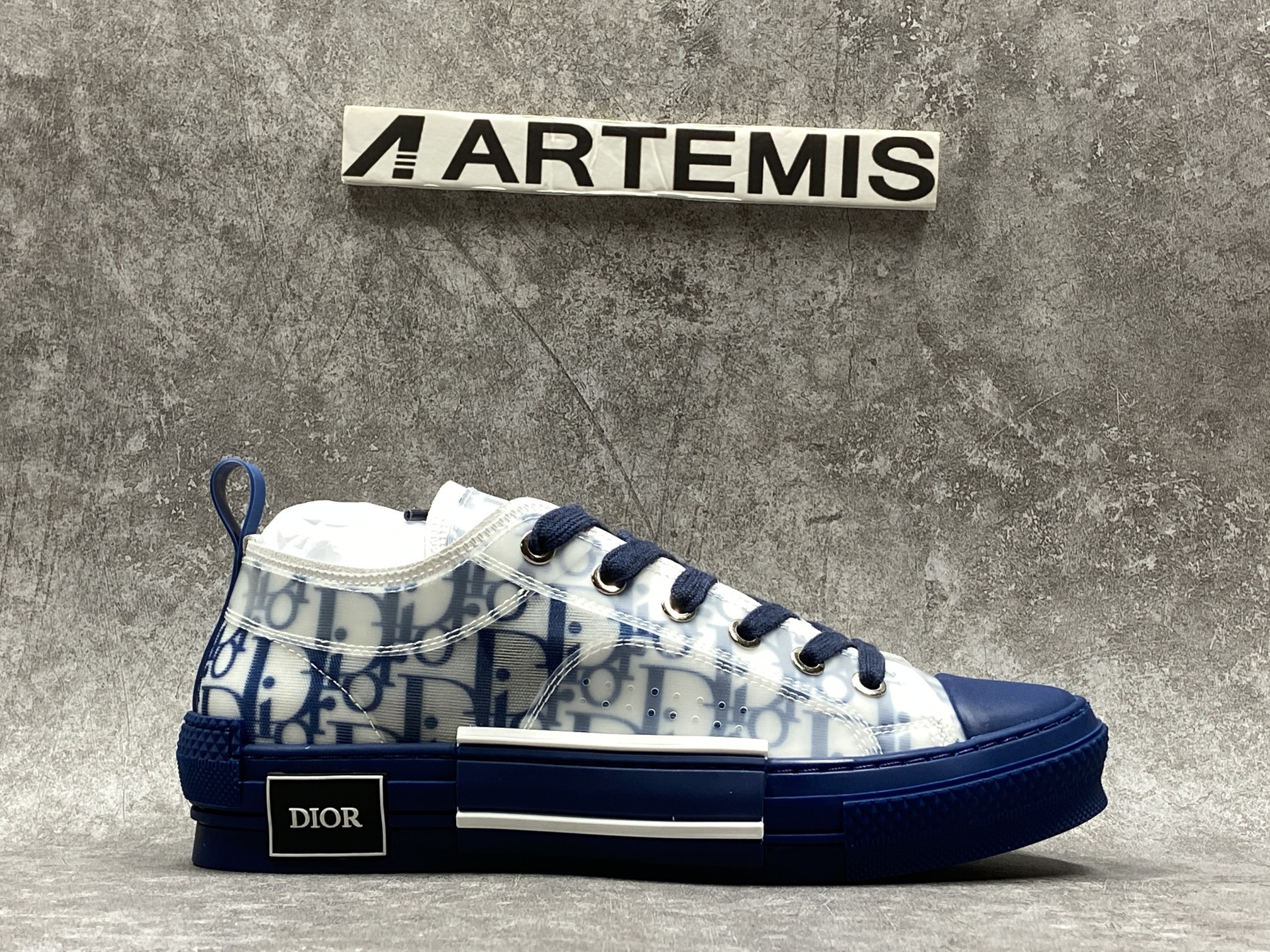Dior B23 Low Top Blue Oblique
