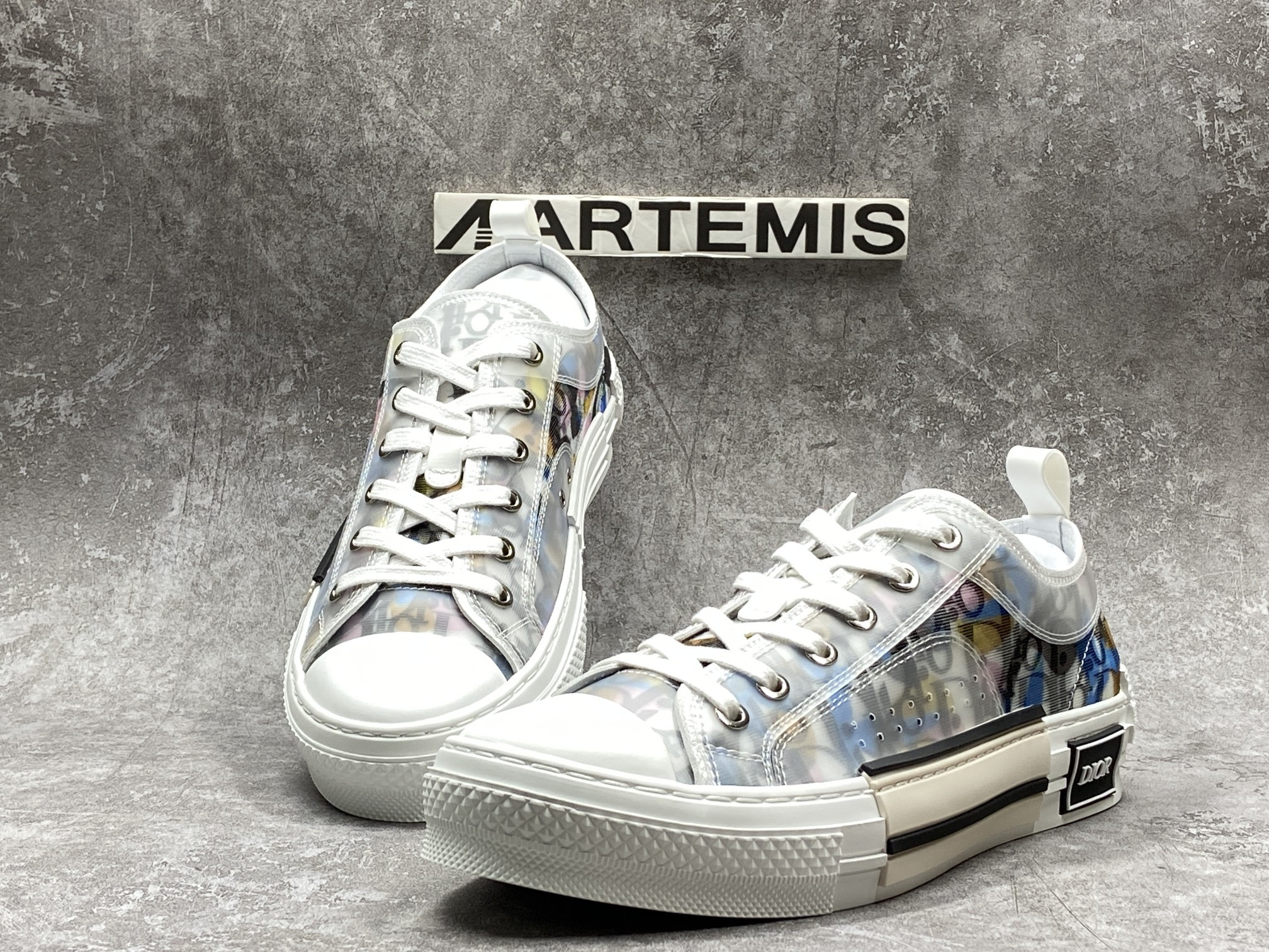 Dior B23 Low Top Alex Foxton Oblique