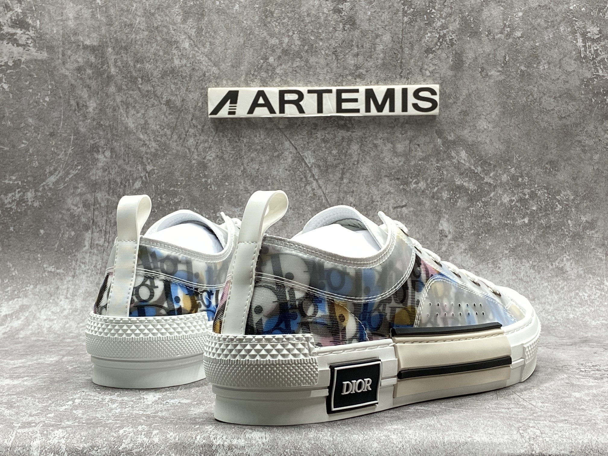 Dior B23 Low Top Alex Foxton Oblique