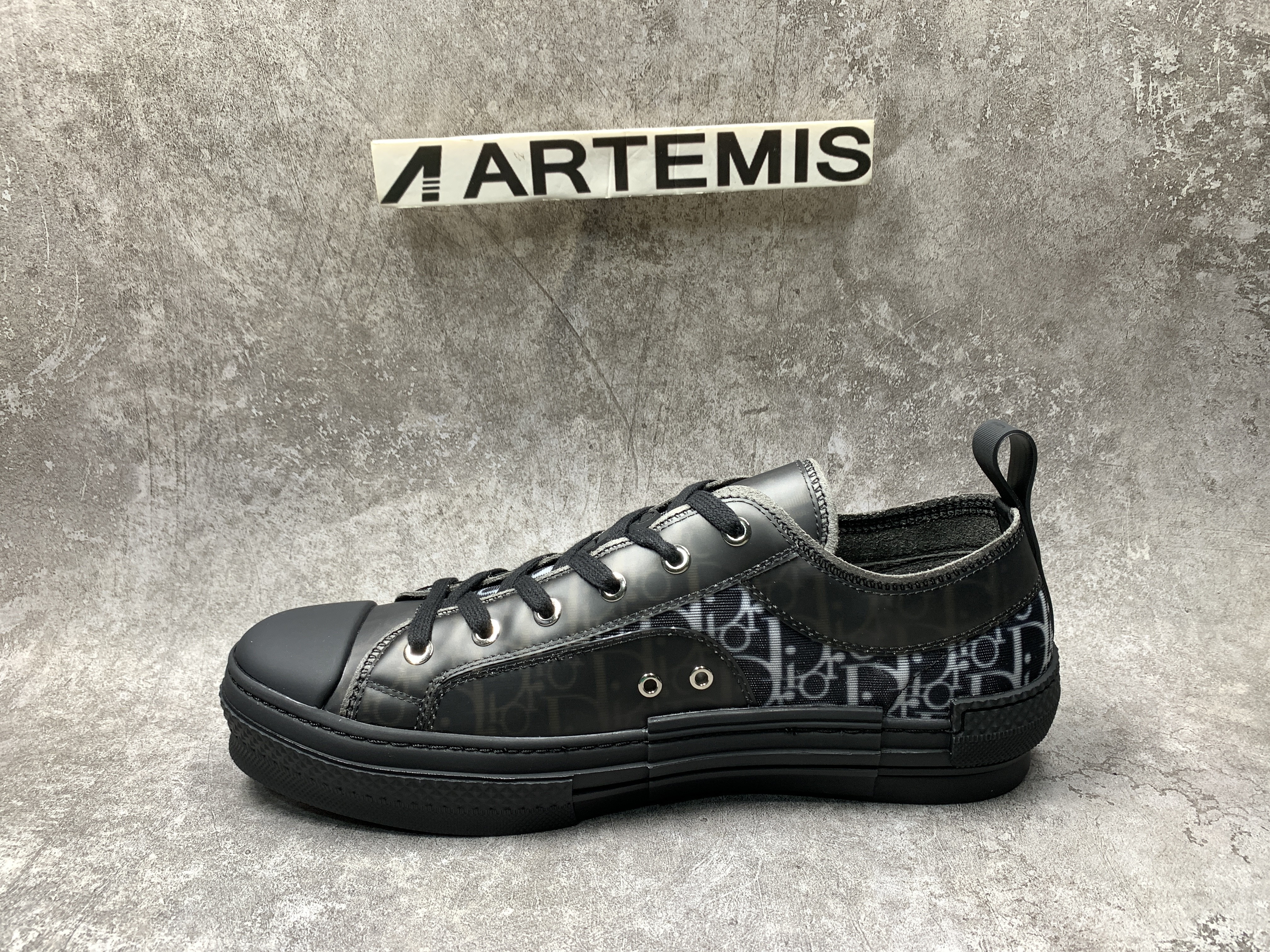 Dior B23 Low Top Canvas Oblique Black