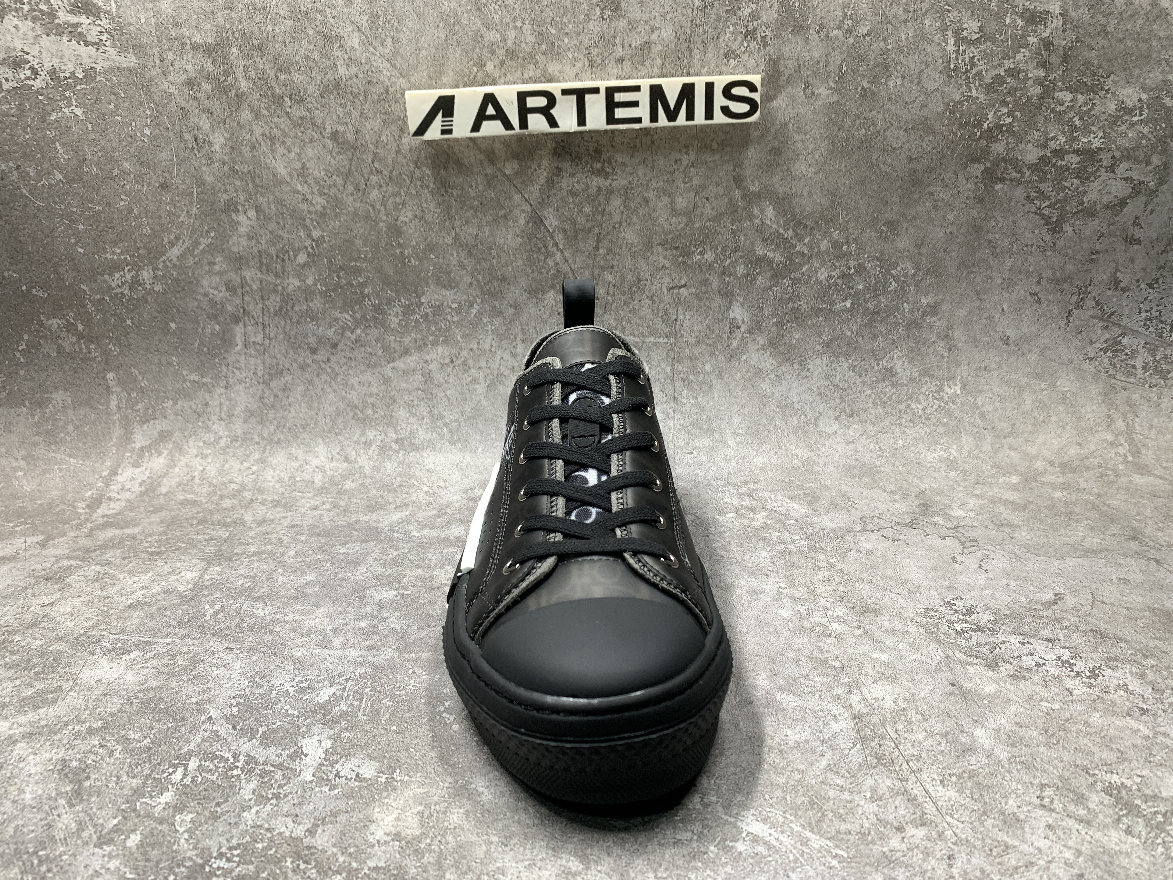 Dior B23 Low Top Canvas Oblique Black