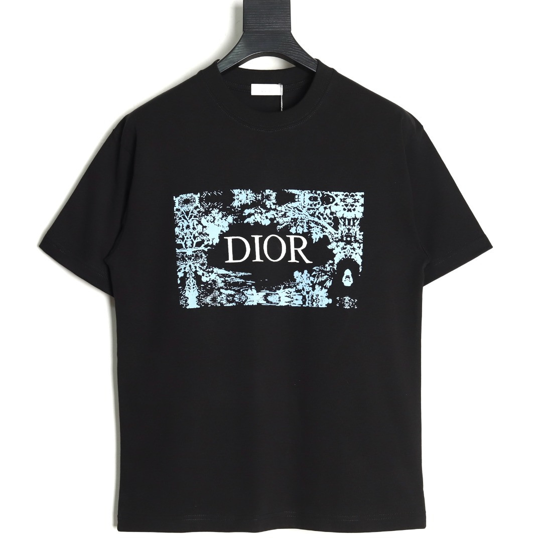 Dior 25SS Short-sleeved T-shirt