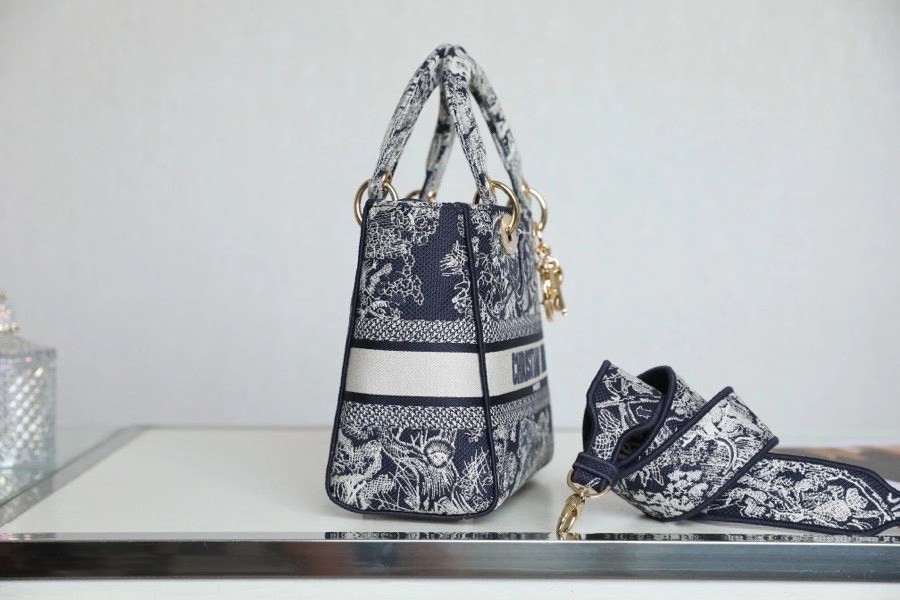 Dior D-lited bag 24cm