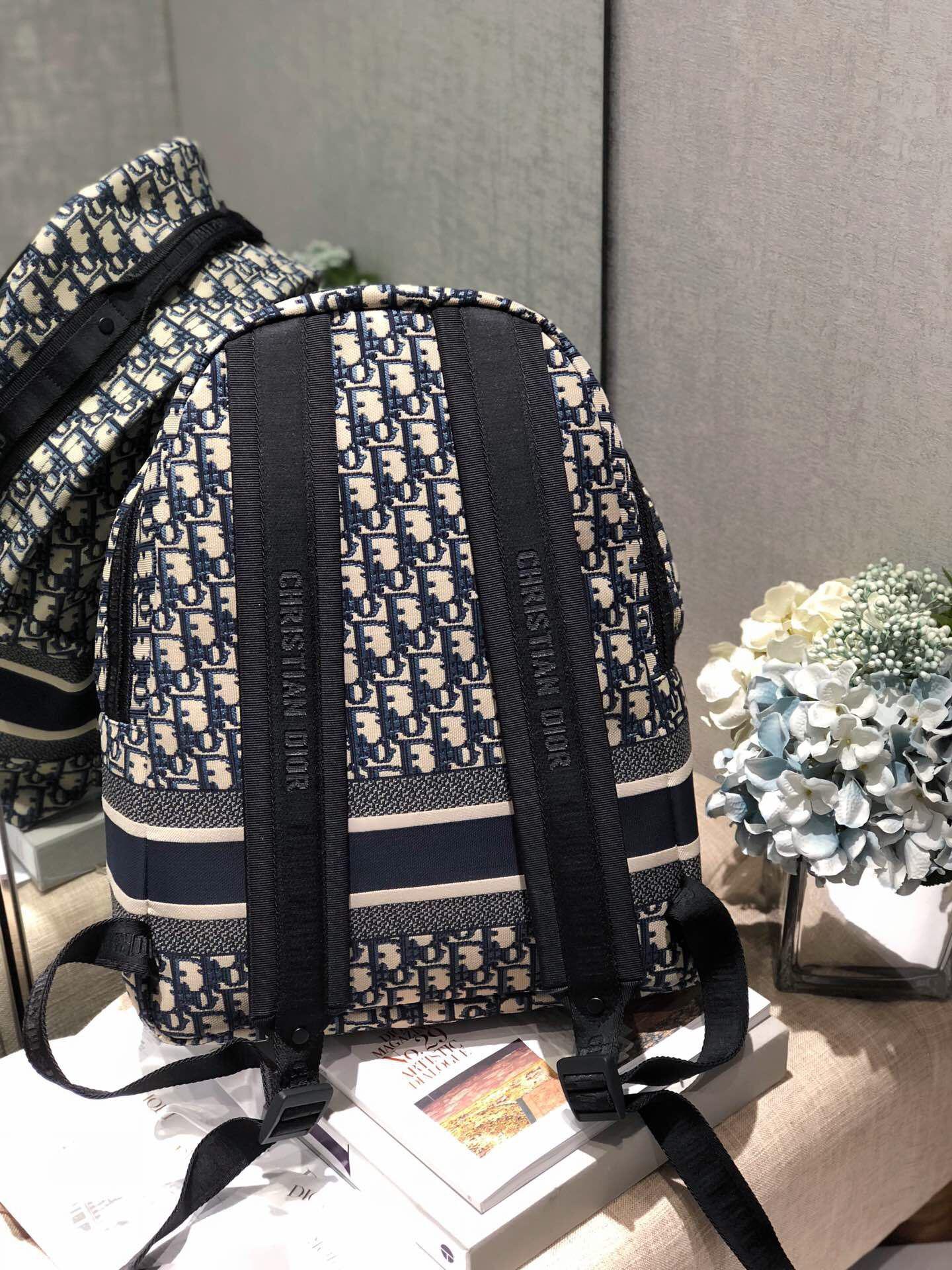 DIORTRAVEL Backpack