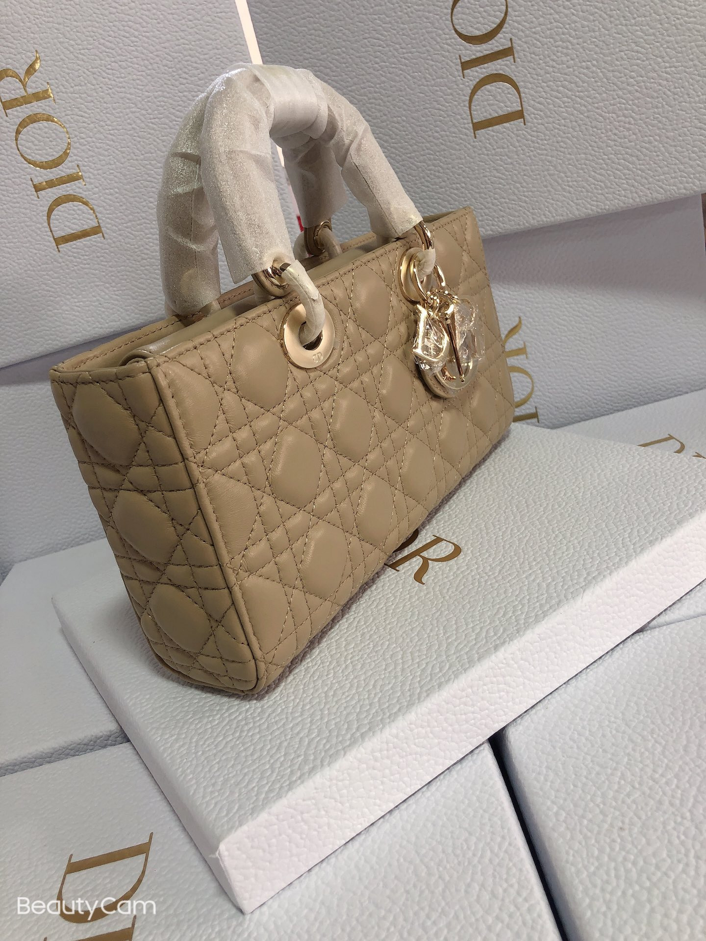 Dior Lady D-Joy bag medium Sad Colored 26 x 13.5 x 5 cm