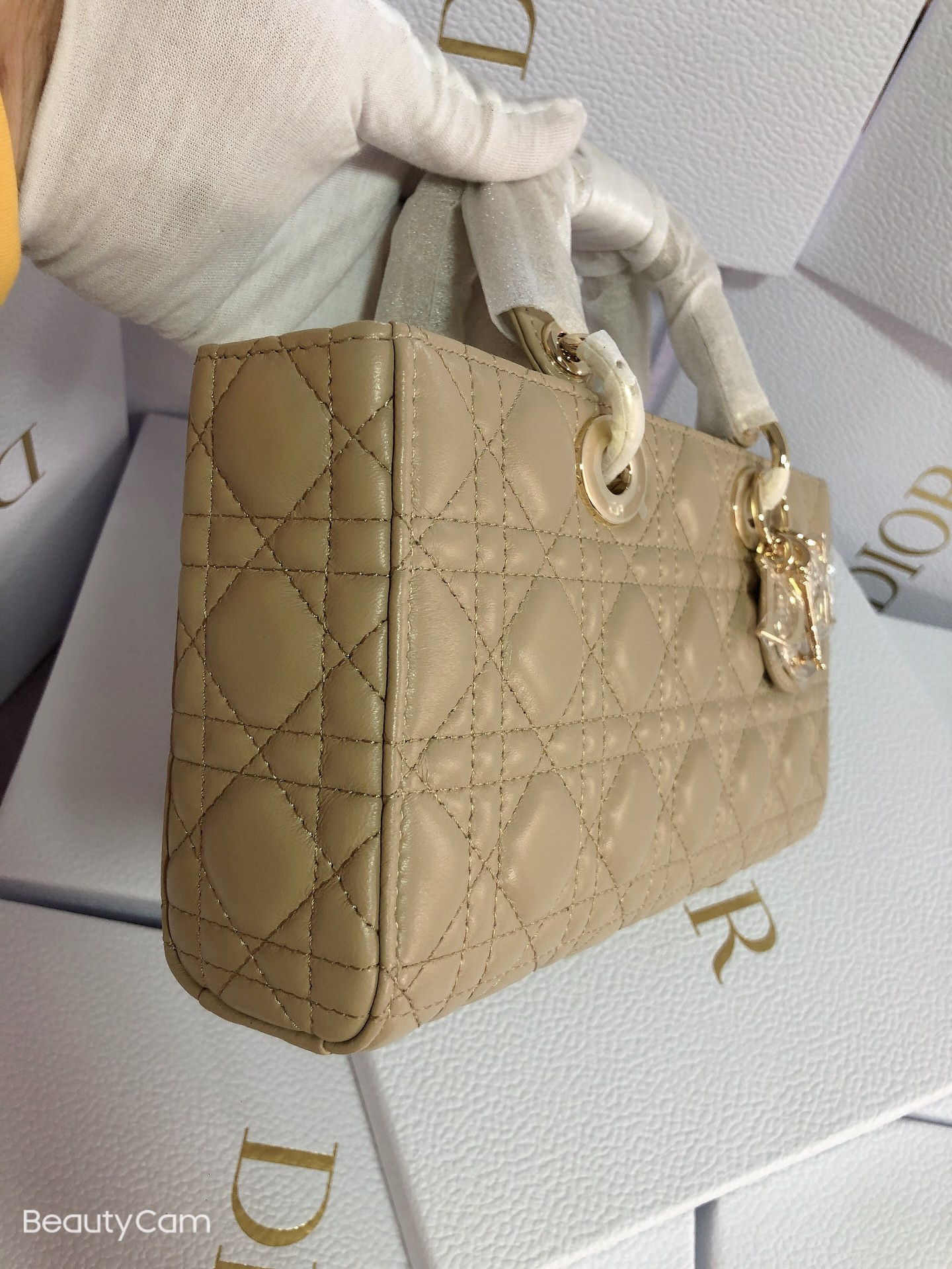 Dior Lady D-Joy bag medium Sad Colored 26 x 13.5 x 5 cm