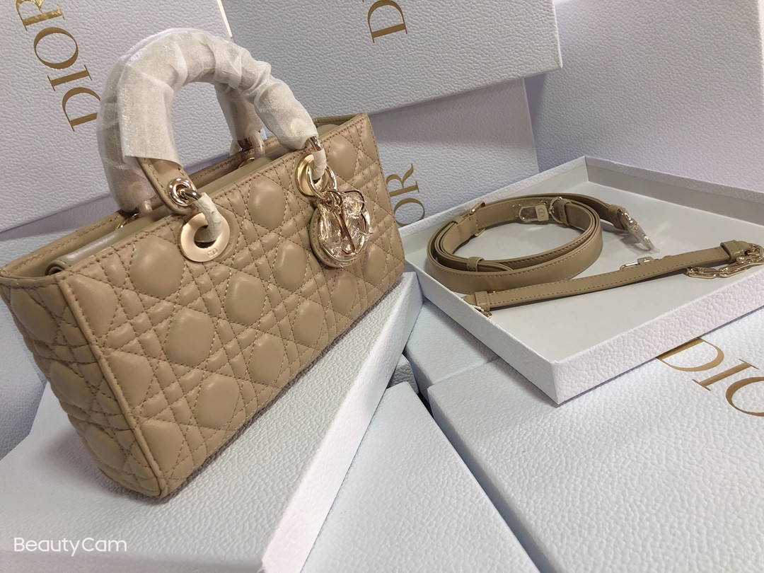 Dior Lady D-Joy bag medium Sad Colored 26 x 13.5 x 5 cm