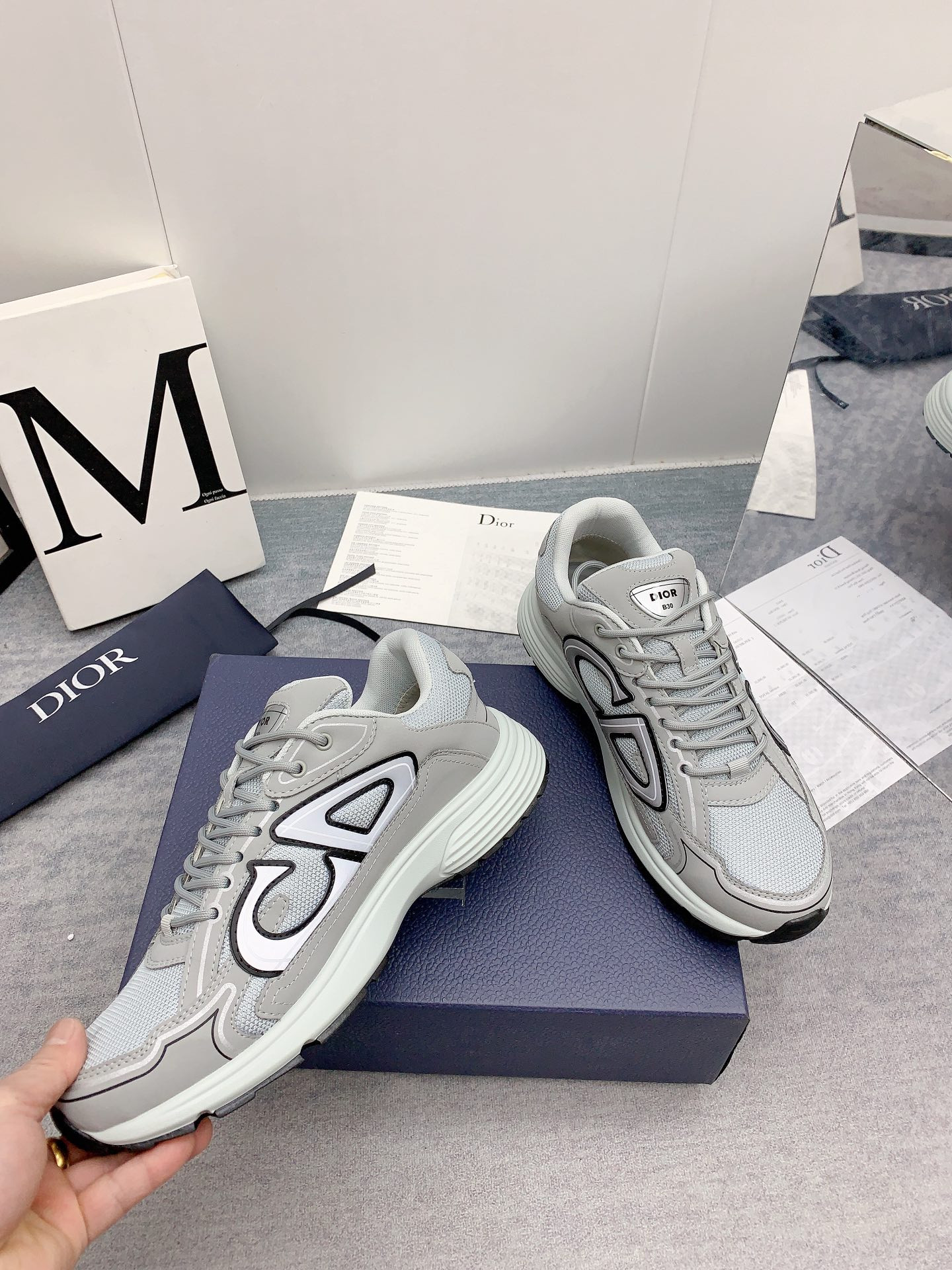 Dior B30 Sneaker Gray Mesh and Technical Fabric