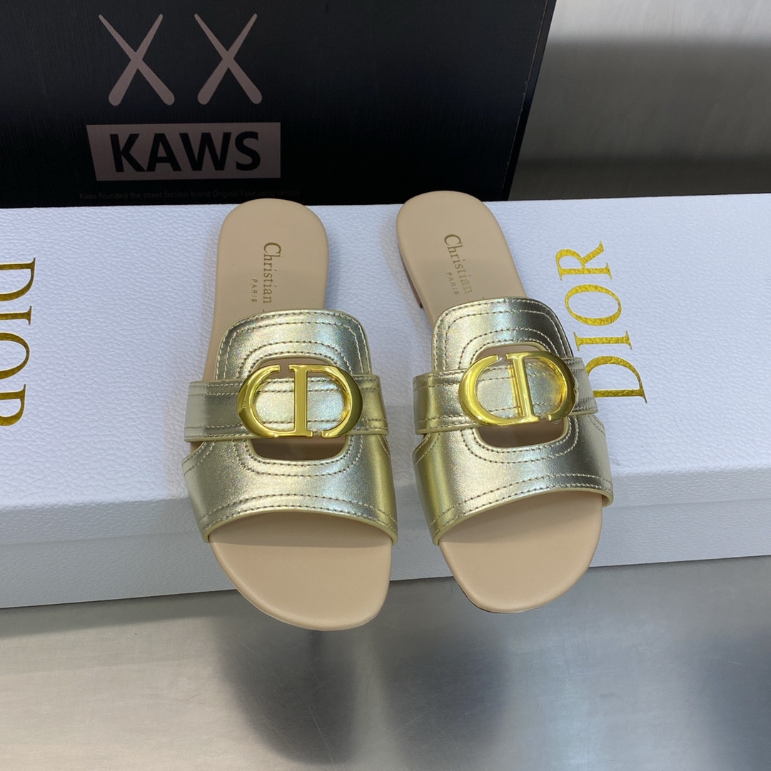 UA DIOR 30 Montaigne Slide
