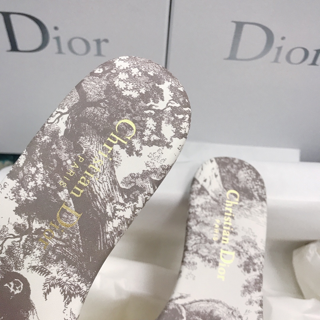 UA DIOR Dway Slide
