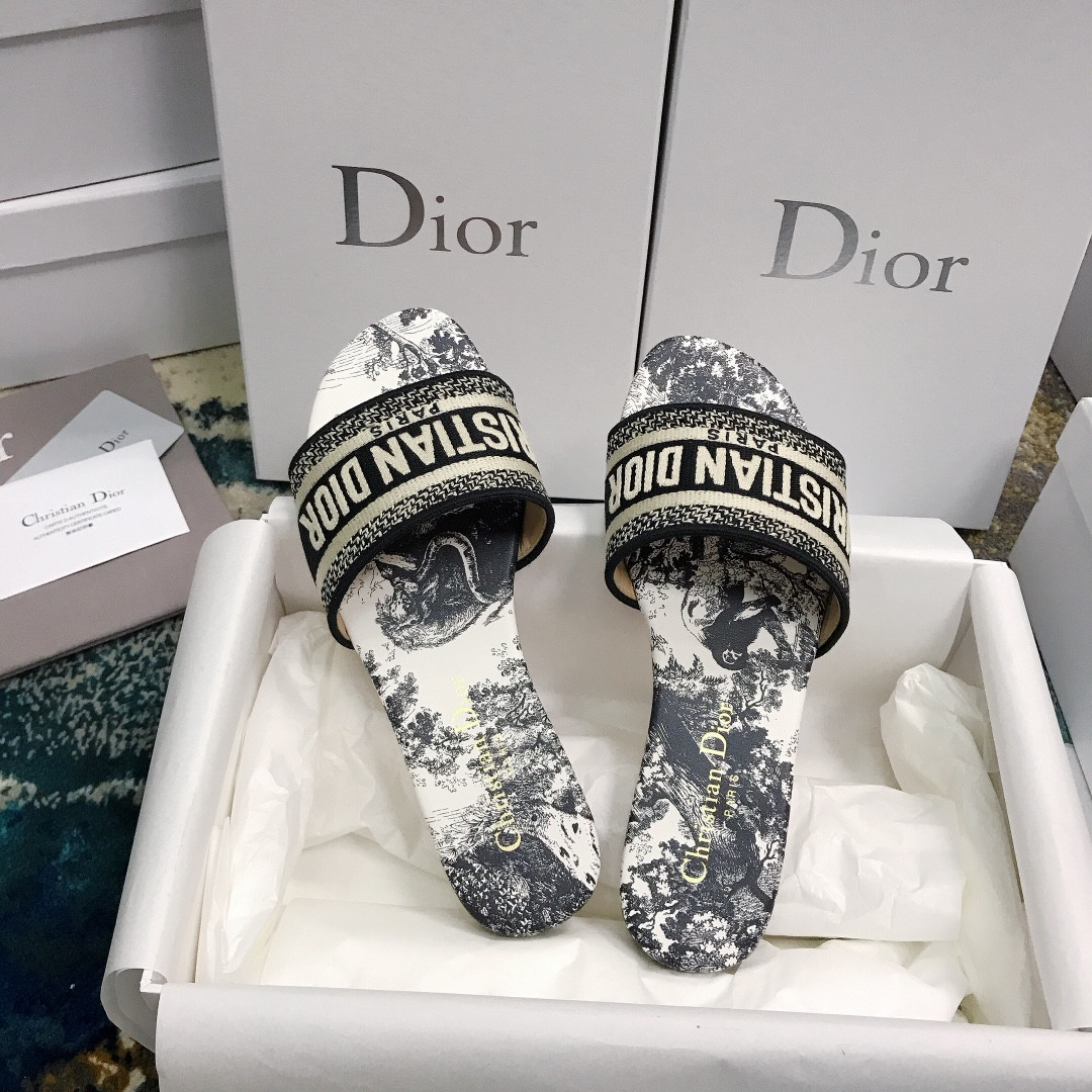 UA DIOR Dway Slide