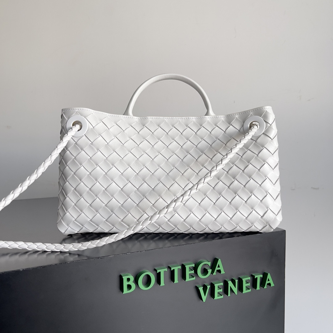 Bottega Veneta East-West Andiamo 29x10x18CM