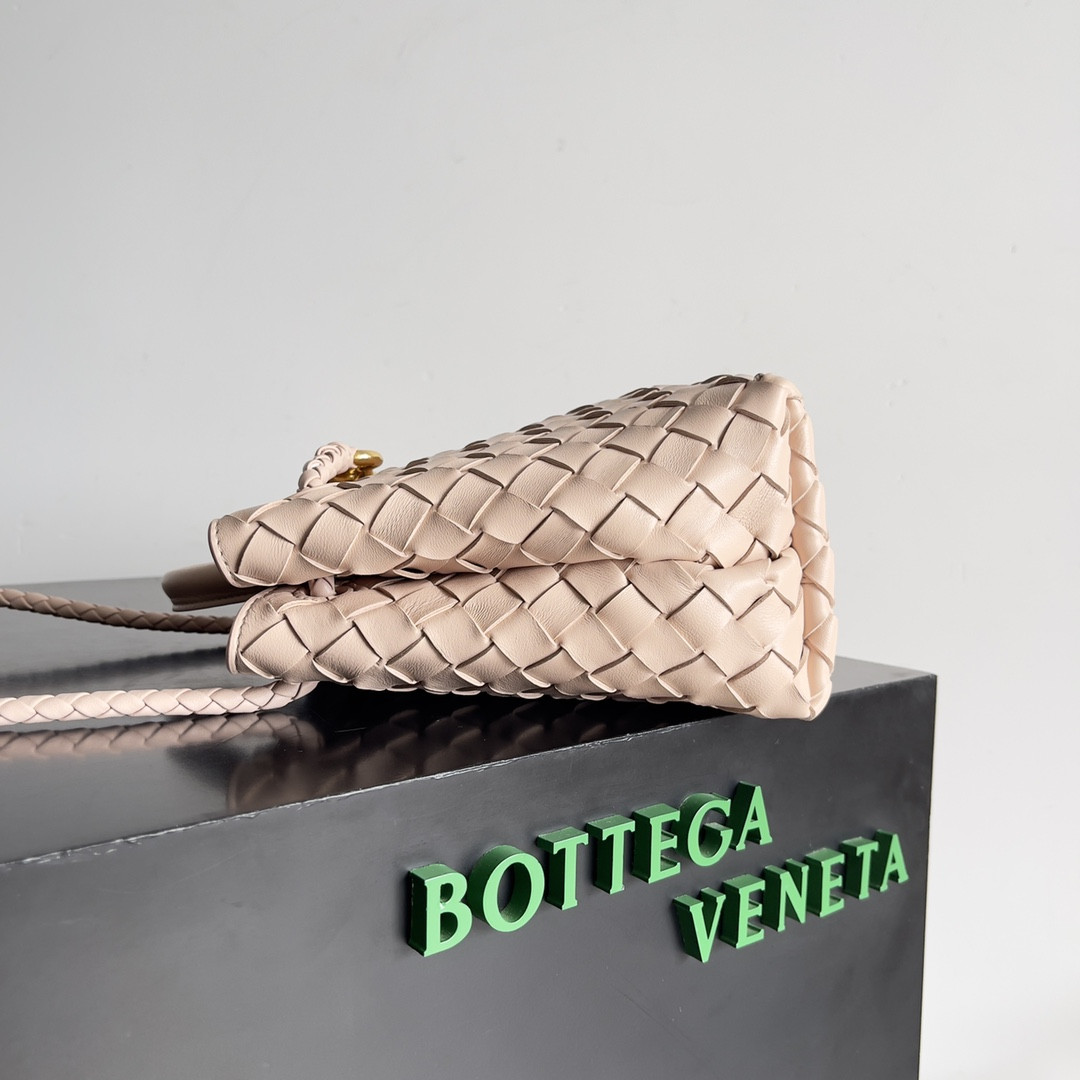Bottega Veneta Small Andiamo 25x22x10.5cm