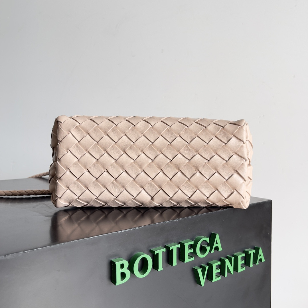 Bottega Veneta Small Andiamo 25x22x10.5cm