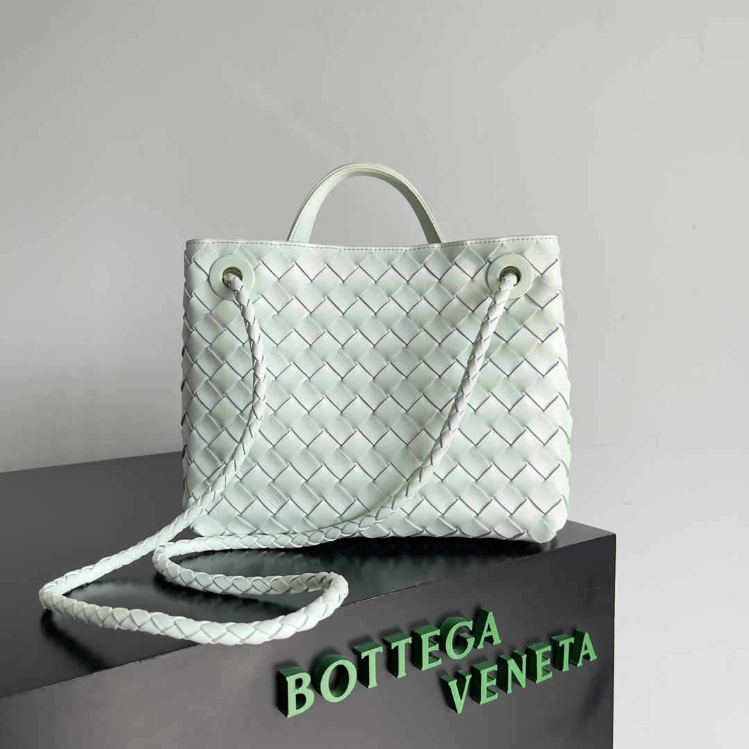 Bottega Veneta Small Andiamo 25x22x10.5cm