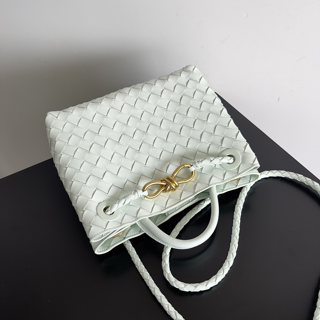 Bottega Veneta Small Andiamo 25x22x10.5cm