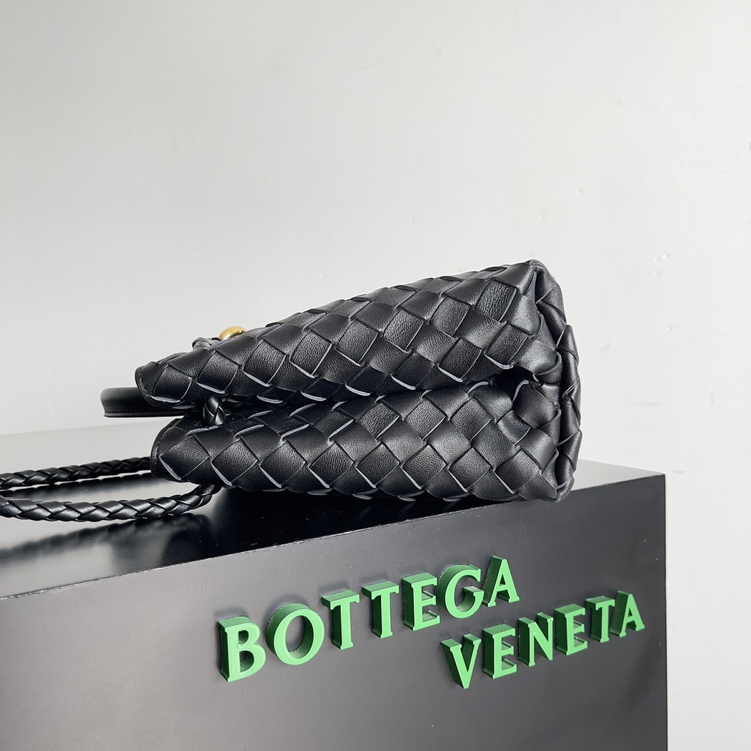 Bottega Veneta Small Andiamo 25x22x10.5cm