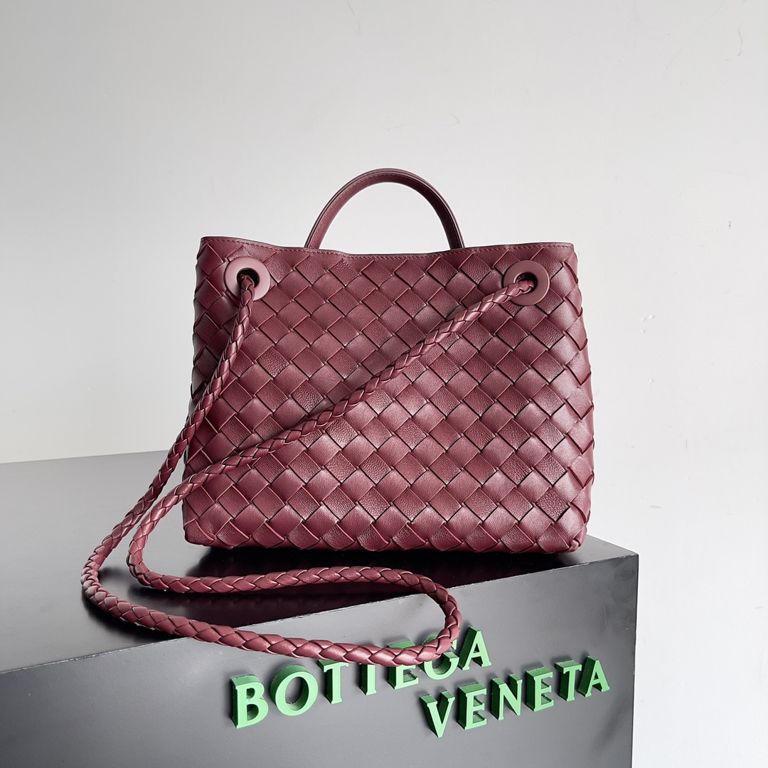 Bottega Veneta Small Andiamo 25x22x10.5cm