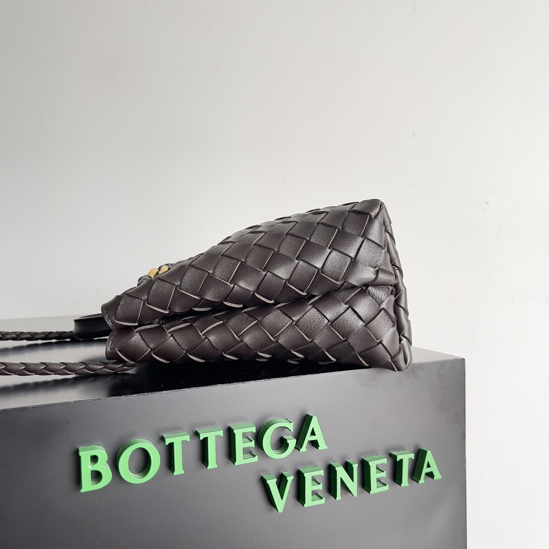 Bottega Veneta Small Andiamo 25x22x10.5cm