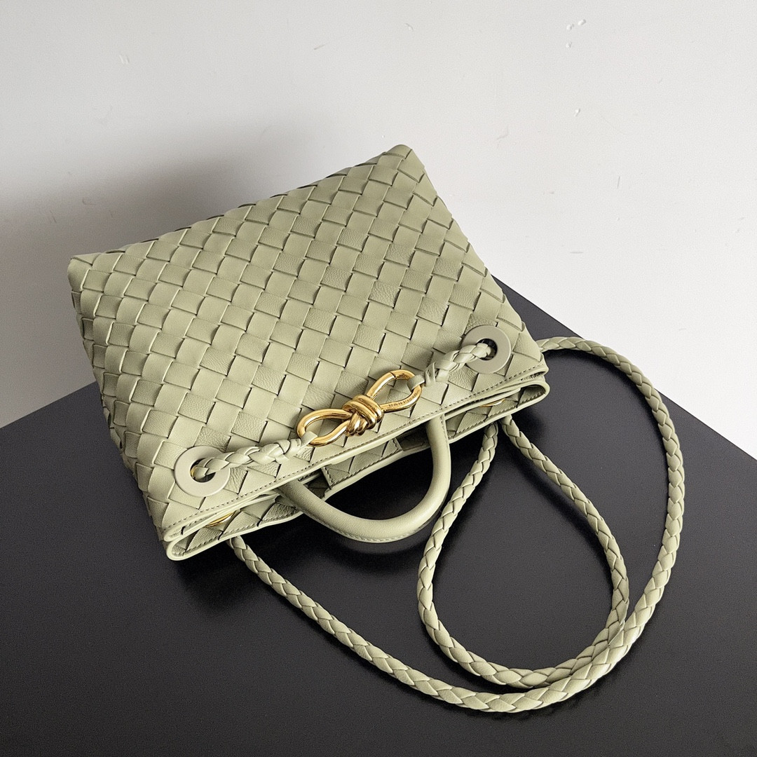 Bottega Veneta Small Andiamo 25x22x10.5cm