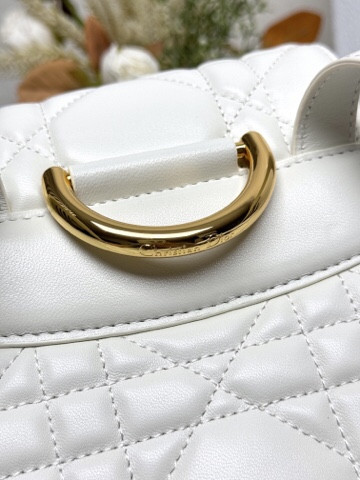 Dior Caro Backpack Medium 23 x 26.7 x 12.5 cm