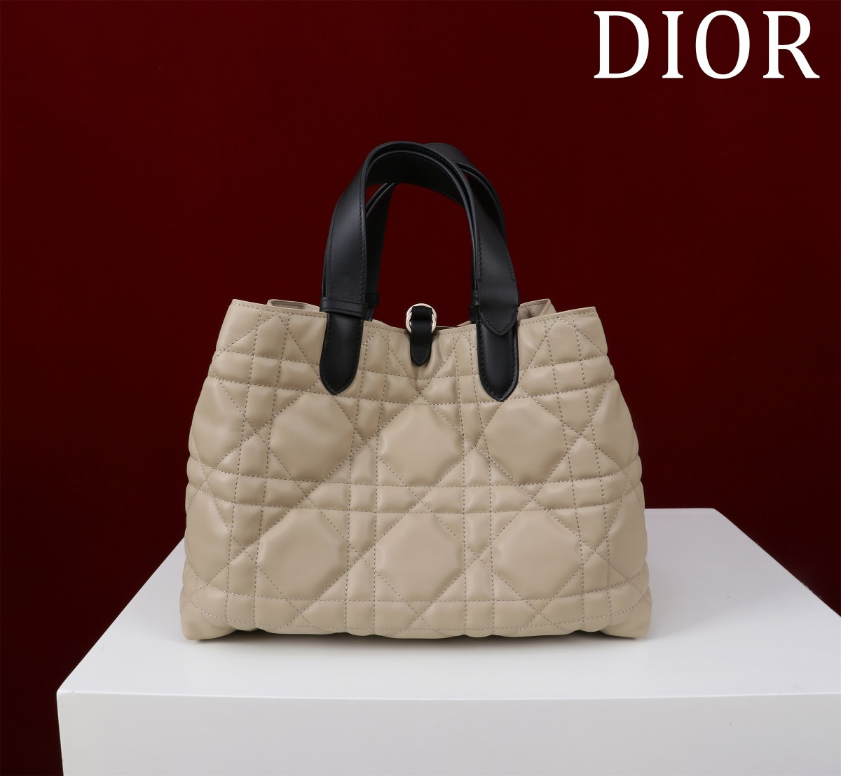 DIOR Toujours Medium 28.5X19X21CM