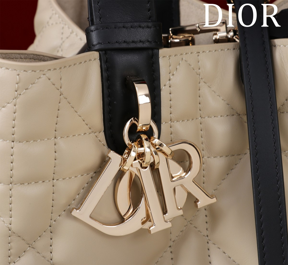 DIOR Toujours Medium 28.5X19X21CM
