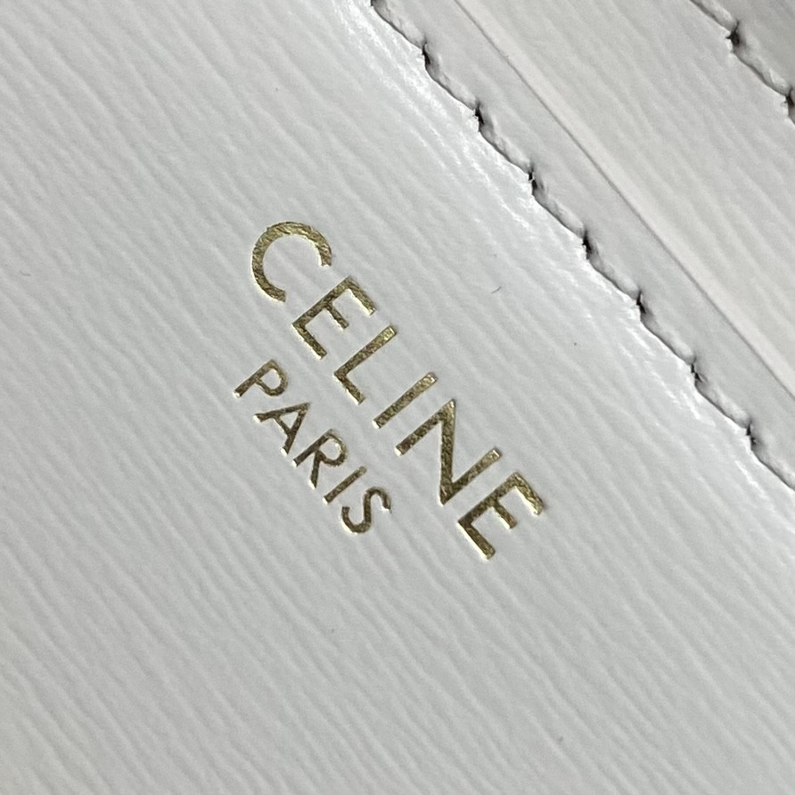 Celine Teen Celine Josephine Bag in Shiny Calfskin 18.5x13x5cm