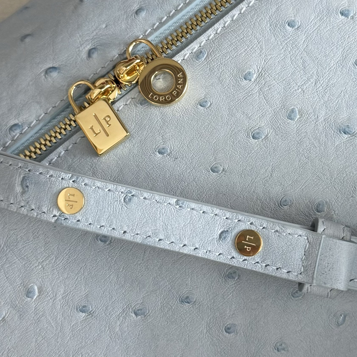 Loro Piana Extra Pocket L27 Ostrich-grained Leather 16x27x10cm